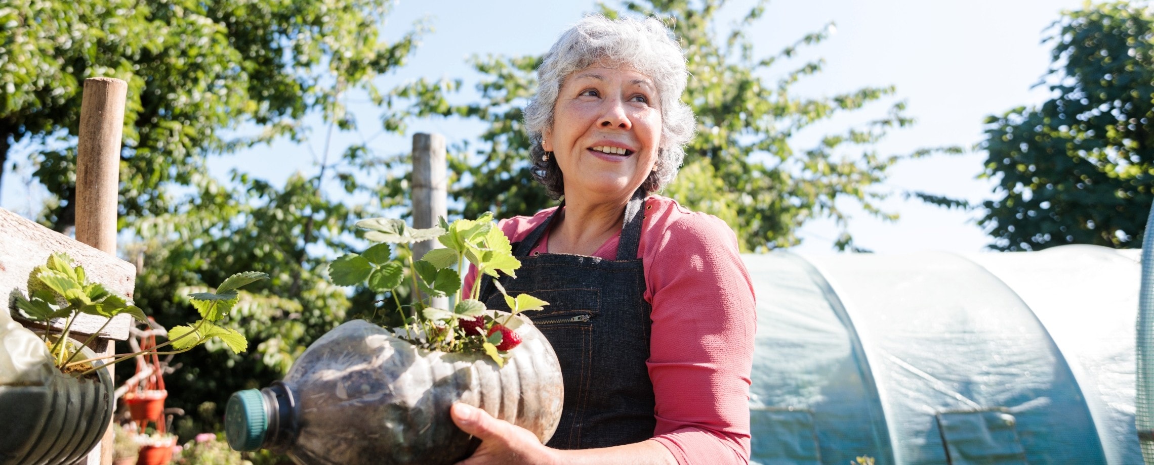 Senior woman gardening.