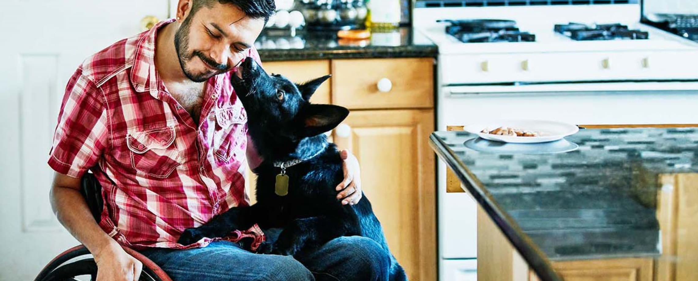 man in  wheelchair and dog