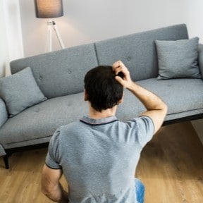 misfit couch