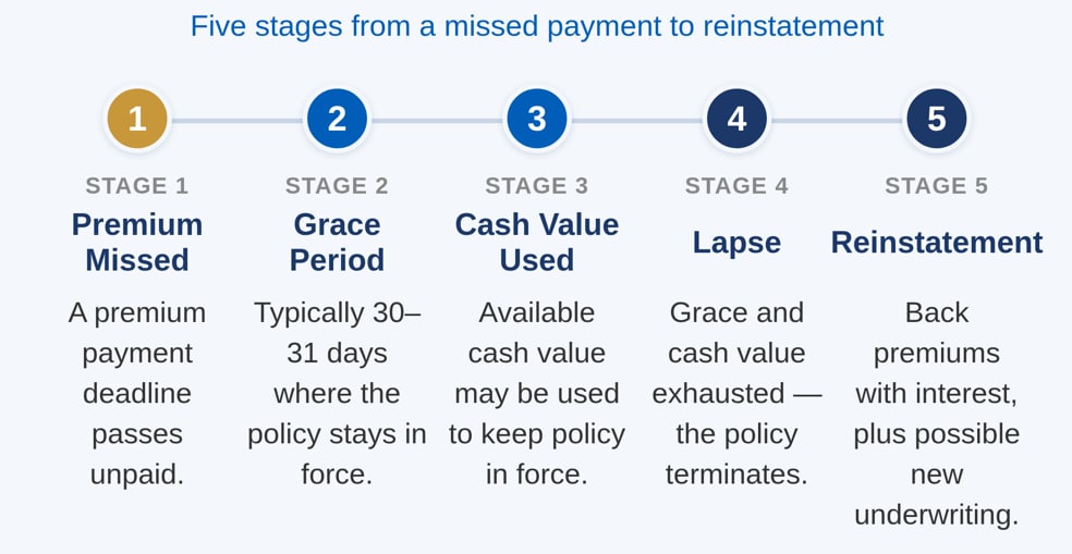 Lapse stages: Premium missed, grace period, cash value used, lapse, reinstatement