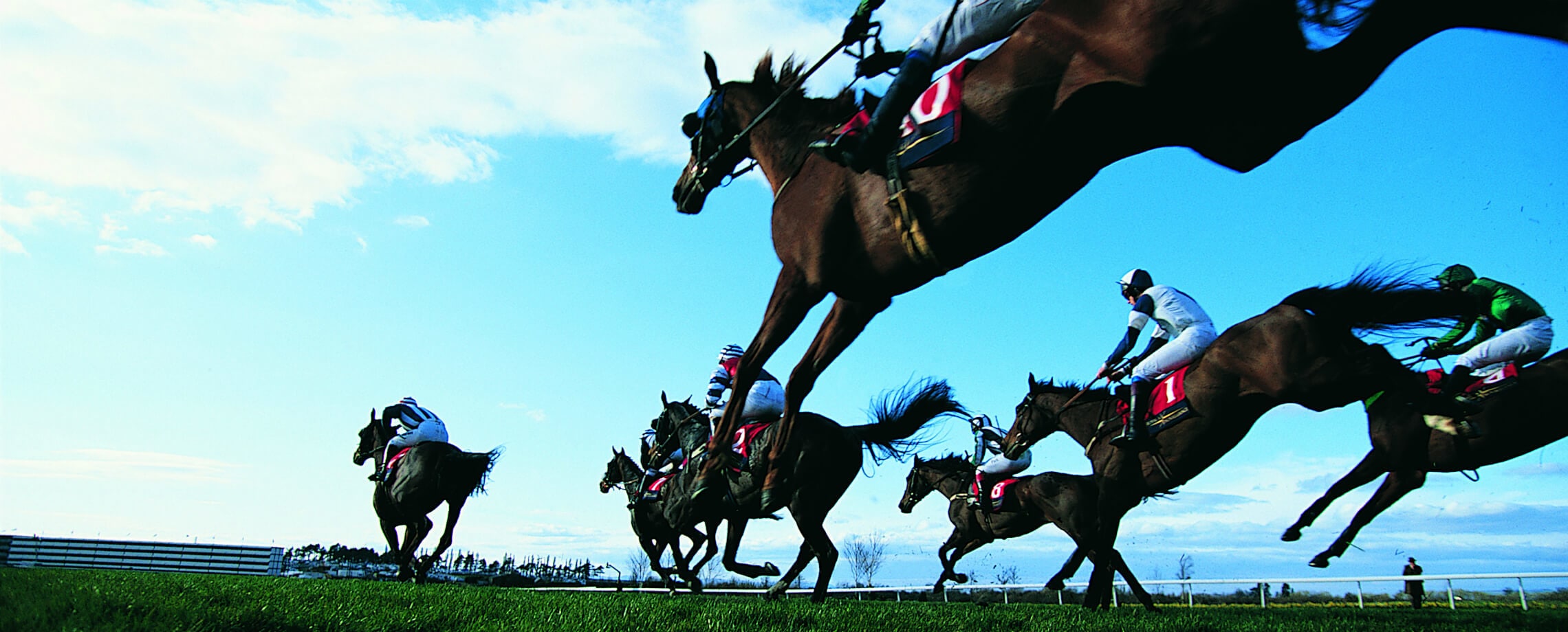 Live Mutual: Horse racing moments