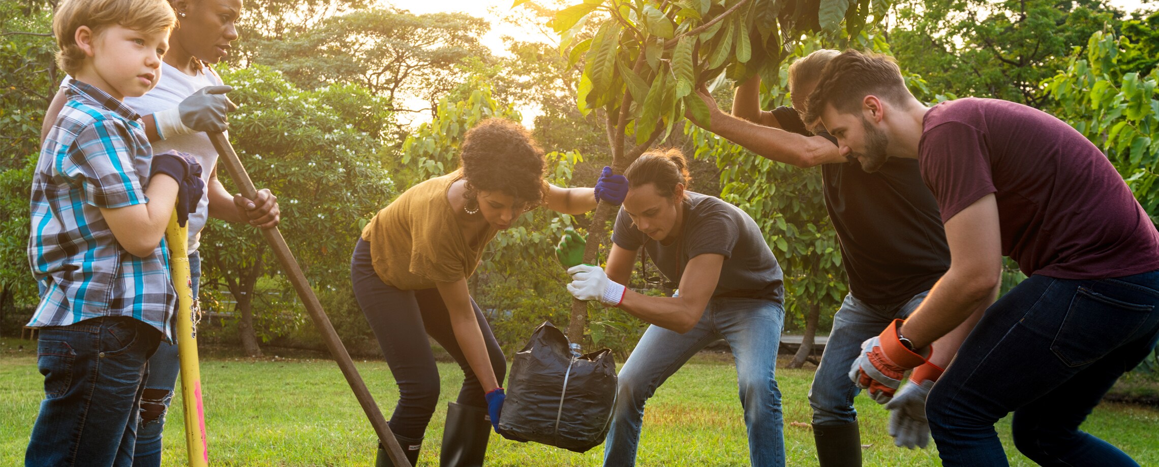 Living Mutual gardens