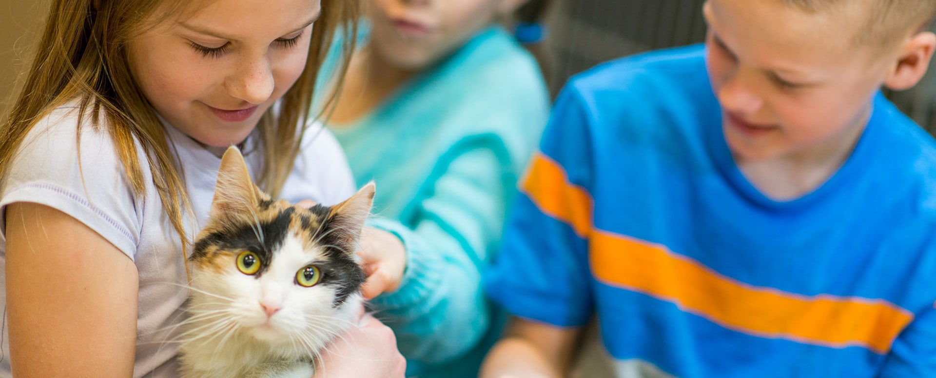 A young Caucasian girl holding a cat with another boy and girl looking on