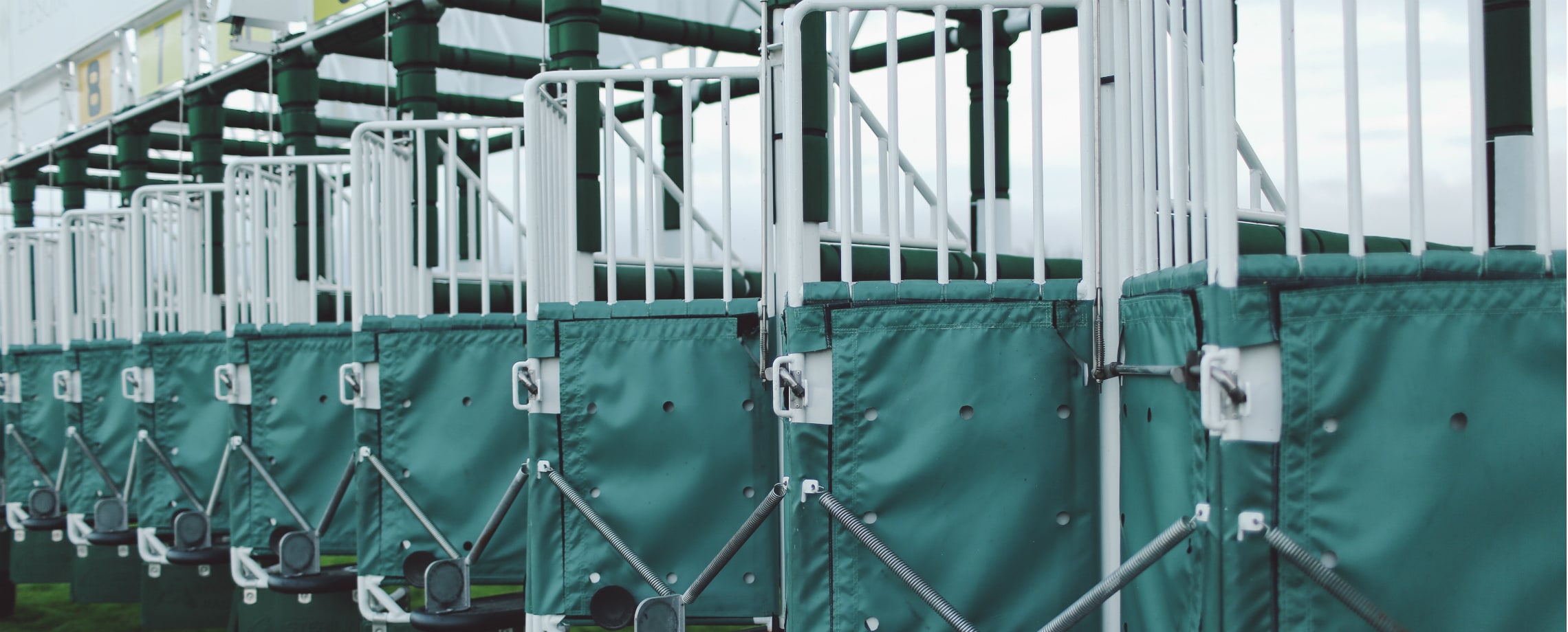 Close up of empty starting gate at a horse racing track