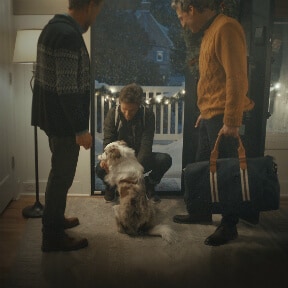 Live mutual and holiday travel