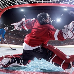 hockey goalie