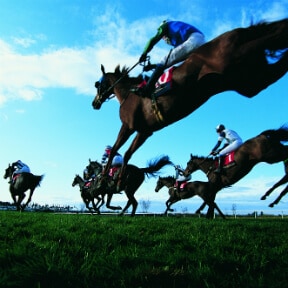 Live Mutual: Horse racing moments