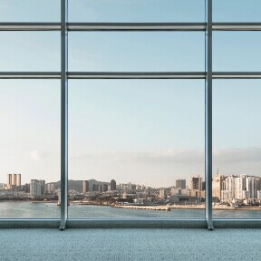 Institutional window
