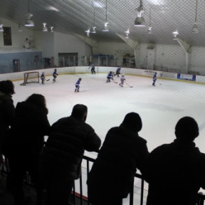 The backs of fans in stands watching a hockey game