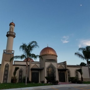 Mosque with palm trees outside